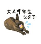 ゴブリンスタンプpart2（個別スタンプ：36）