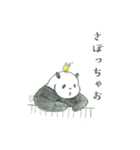 えんぴつぱんだ（個別スタンプ：9）