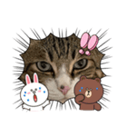 ごえもん日和。15（個別スタンプ：5）