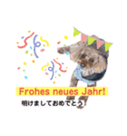コタロー写真スタンプ ドイツ語編（個別スタンプ：18）