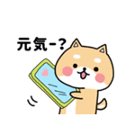 柴犬ぽるて。②（個別スタンプ：30）