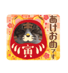メロネロ（個別スタンプ：4）
