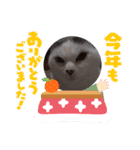 メロネロ（個別スタンプ：6）