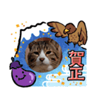 メロネロ（個別スタンプ：8）