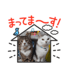 メロネロ（個別スタンプ：13）