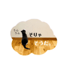 鍵しっぽのlalaです♩（個別スタンプ：15）