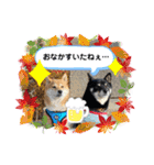 Tumuさんの日常 友達と一緒①（個別スタンプ：1）