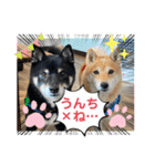 Tumuさんの日常 友達と一緒①（個別スタンプ：2）