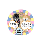 Tumuさんの日常 友達と一緒①（個別スタンプ：3）