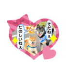 Tumuさんの日常 友達と一緒①（個別スタンプ：7）