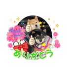 Tumuさんの日常 友達と一緒①（個別スタンプ：9）