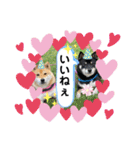 Tumuさんの日常 友達と一緒①（個別スタンプ：13）