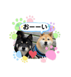 Tumuさんの日常 友達と一緒①（個別スタンプ：16）
