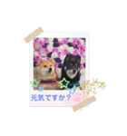 Tumuさんの日常 友達と一緒①（個別スタンプ：17）
