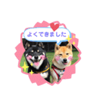 Tumuさんの日常 友達と一緒①（個別スタンプ：18）