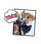 Tumuさんの日常 友達と一緒①（個別スタンプ：24）