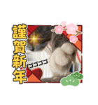 動物達からのご挨拶（個別スタンプ：3）