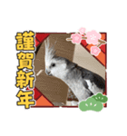 動物達からのご挨拶（個別スタンプ：6）