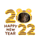 動物達からのご挨拶（個別スタンプ：7）