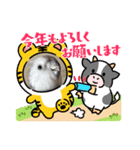 動物達からのご挨拶（個別スタンプ：8）