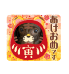 動物達からのご挨拶（個別スタンプ：9）
