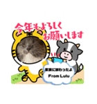 動物達からのご挨拶（個別スタンプ：11）