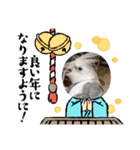 動物達からのご挨拶（個別スタンプ：14）