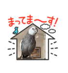 動物達からのご挨拶（個別スタンプ：16）
