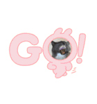動物達からのご挨拶（個別スタンプ：18）