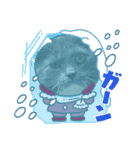 動物達からのご挨拶（個別スタンプ：19）