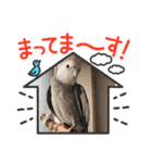 動物達からのご挨拶（個別スタンプ：21）