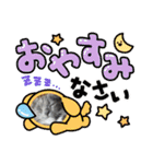 動物達からのご挨拶（個別スタンプ：24）
