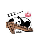 みやびMIYABIスタンプPANDA編（個別スタンプ：7）