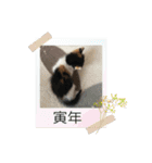 k.nオリジナル9（個別スタンプ：3）