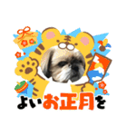 k.nオリジナル9（個別スタンプ：5）