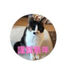 k.nオリジナル9（個別スタンプ：6）