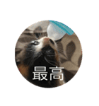 k.nオリジナル9（個別スタンプ：11）
