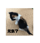 k.nオリジナル9（個別スタンプ：16）