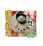 2022ハルトラ（個別スタンプ：1）