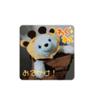2022ハルトラ（個別スタンプ：3）