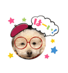 まるぷーのりんこ2（個別スタンプ：1）