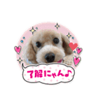 まるぷーのりんこ2（個別スタンプ：8）