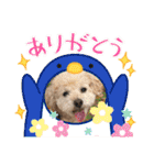 まるぷーのりんこ2（個別スタンプ：11）
