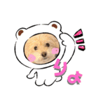 まるぷーのりんこ2（個別スタンプ：13）