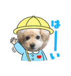 まるぷーのりんこ2（個別スタンプ：18）