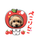 まるぷーのりんこ2（個別スタンプ：19）
