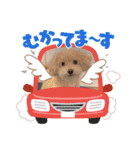 まるぷーのりんこ2（個別スタンプ：27）