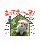 まるぷーのりんこ2（個別スタンプ：28）