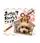 まるぷーのりんこ2（個別スタンプ：29）