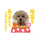 まるぷーのりんこ2（個別スタンプ：31）